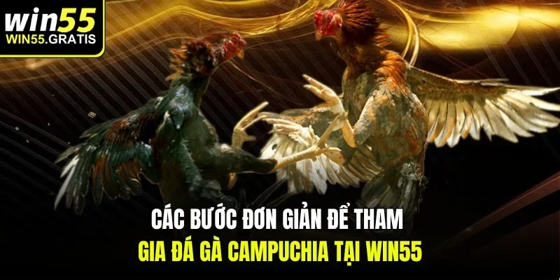 Các bước đơn giản để tham gia đá gà campuchia tại win55