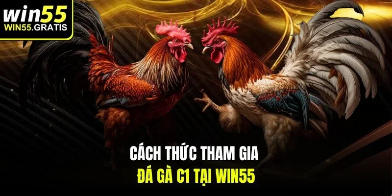 Cách thức tham gia đá gà C1 tại Win55