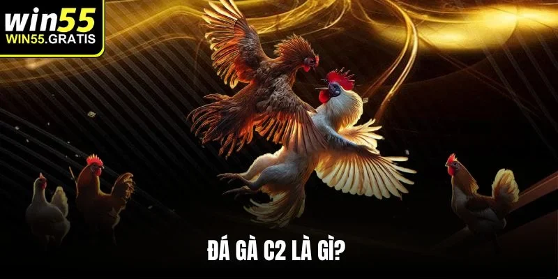 Đá gà c2 là gì?