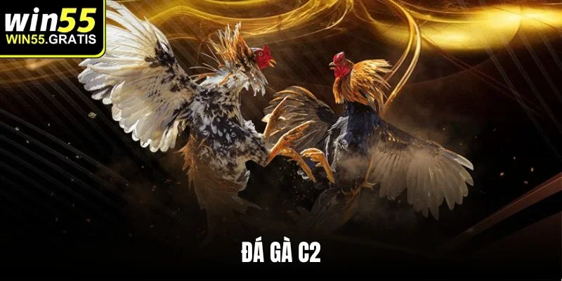 đá gà c2