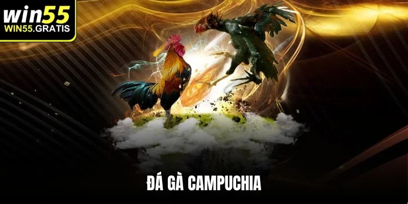 đá gà campuchia