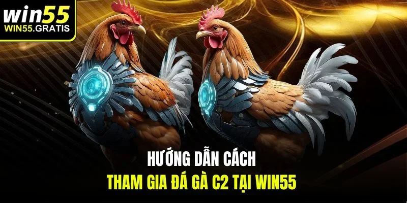 Hướng dẫn cách tham gia đá gà c2 tại win55