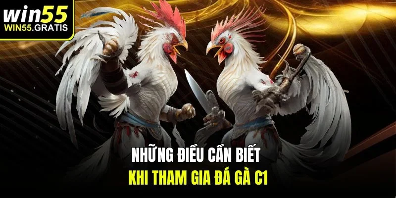 Những điều người dùng cần biết khi tham gia đá gà C1