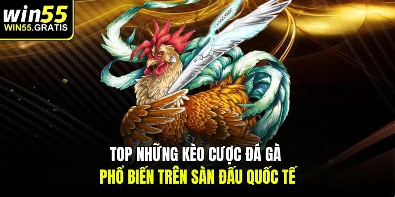 Top những kèo cược đá gà phổ biến trên sàn đấu quốc tế