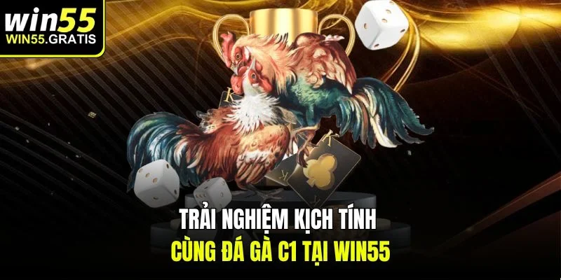 Trải nghiệm kịch tính cùng đá gà C1 tại Win55