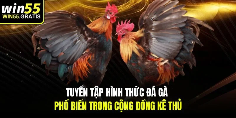 Tuyển tập hình thức Đá Gà phổ biến trong cộng đồng kê thủ