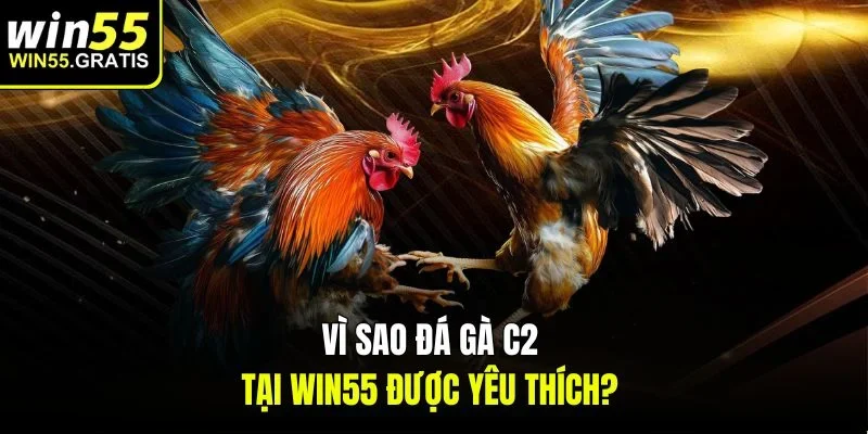 Vì sao đá gà c2 tại win55 được yêu thích?